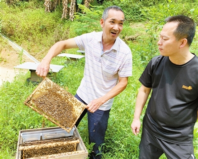 脱贫户冯全太的“甜蜜”生活