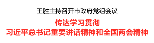 王胜：传达学习贯彻习近平总书记重要讲话精神和全国两会精神