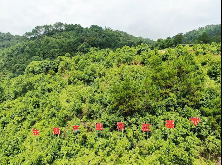 罗定榃滨镇永坑村1