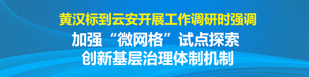 黄汉标到云安开展工作调研时强调