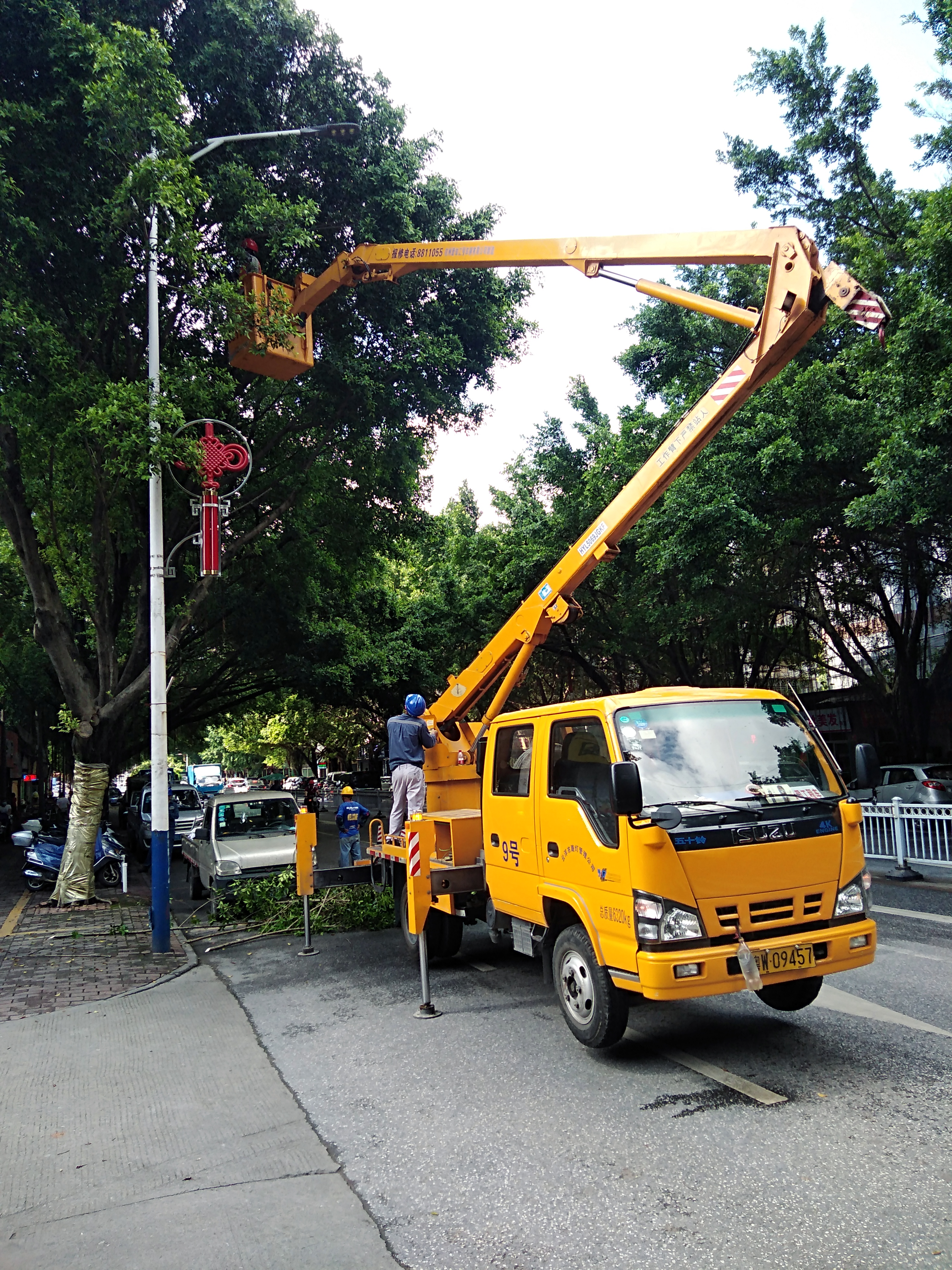 两部门联手修整市区星岩四路绿