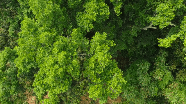 罗定泗纶镇泗荣黄沙村6