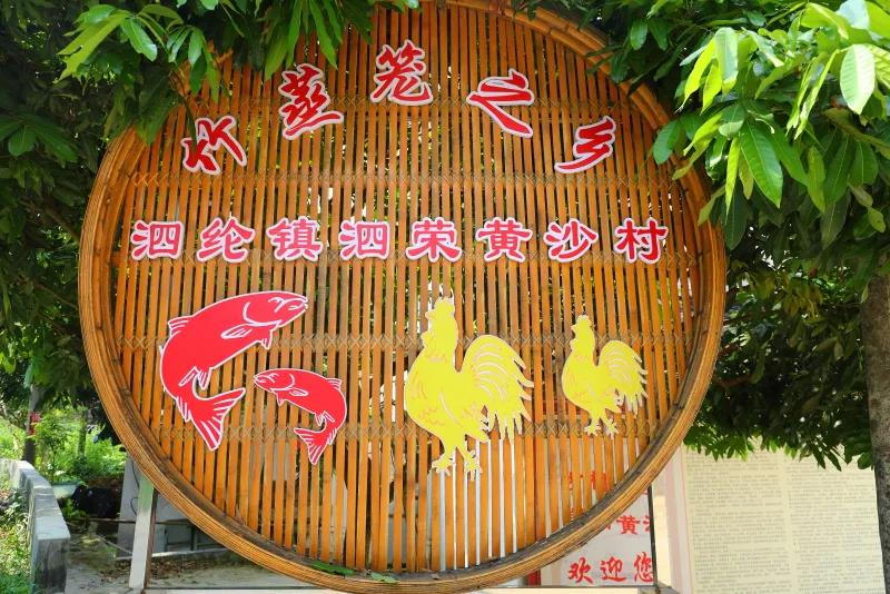 罗定泗纶镇泗荣黄沙村3