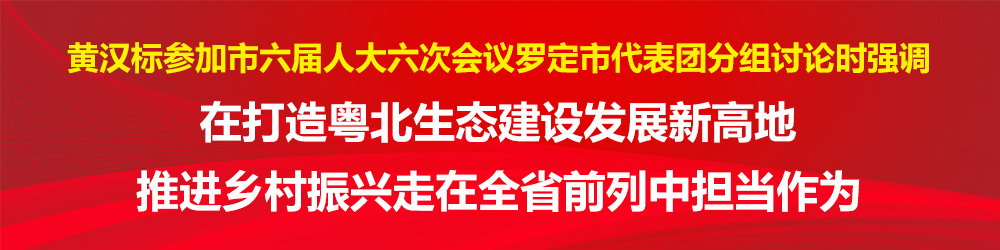 封面）黄汉标参加市六届人大六次会议罗定市代表团分组讨论时强调_副本