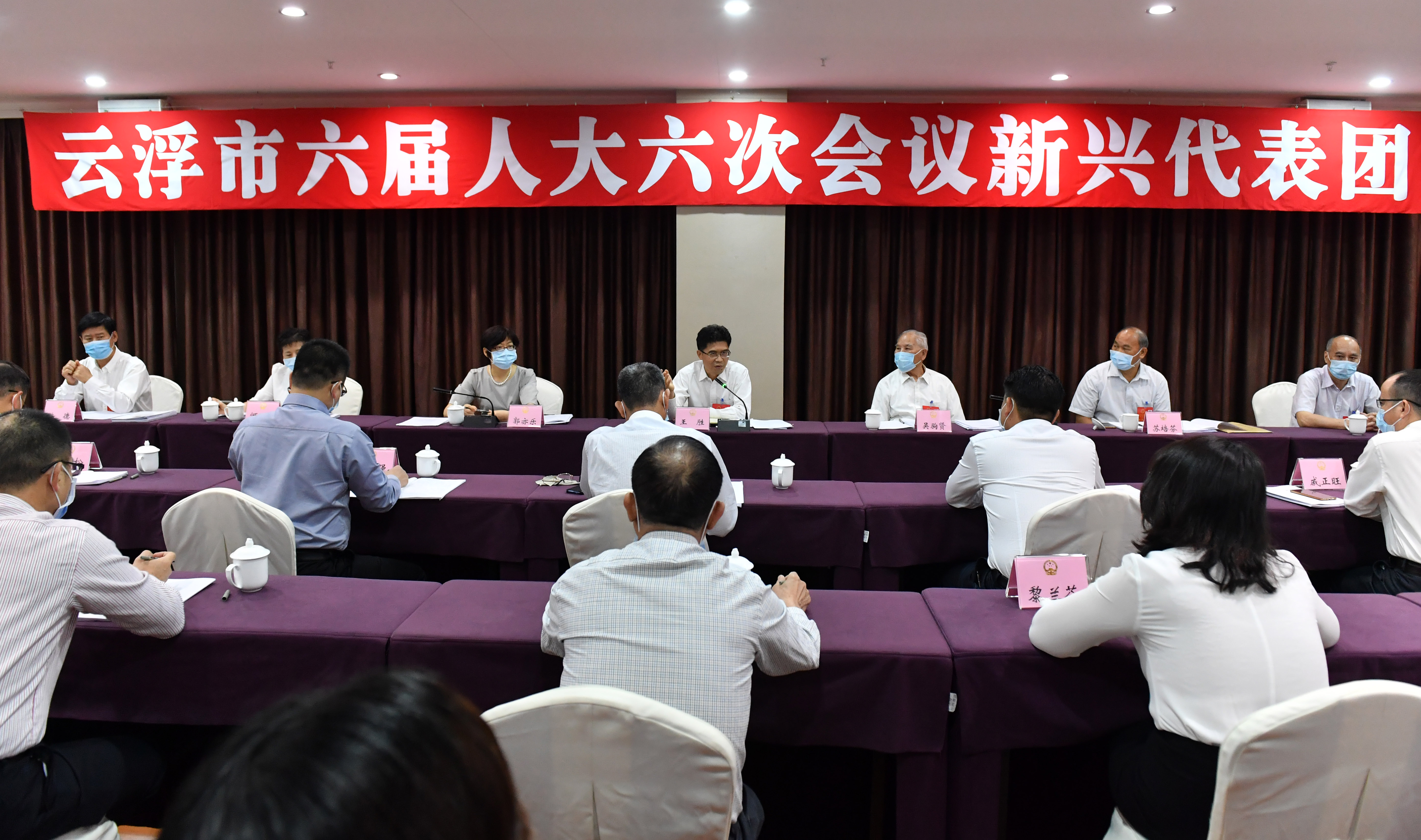 王胜参加市六届人大六次会议新兴县代表团讨论（徐登科摄）