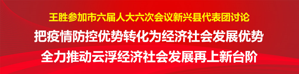 封面）王胜参加市六届人大六次会议新兴县代表团讨论_副本