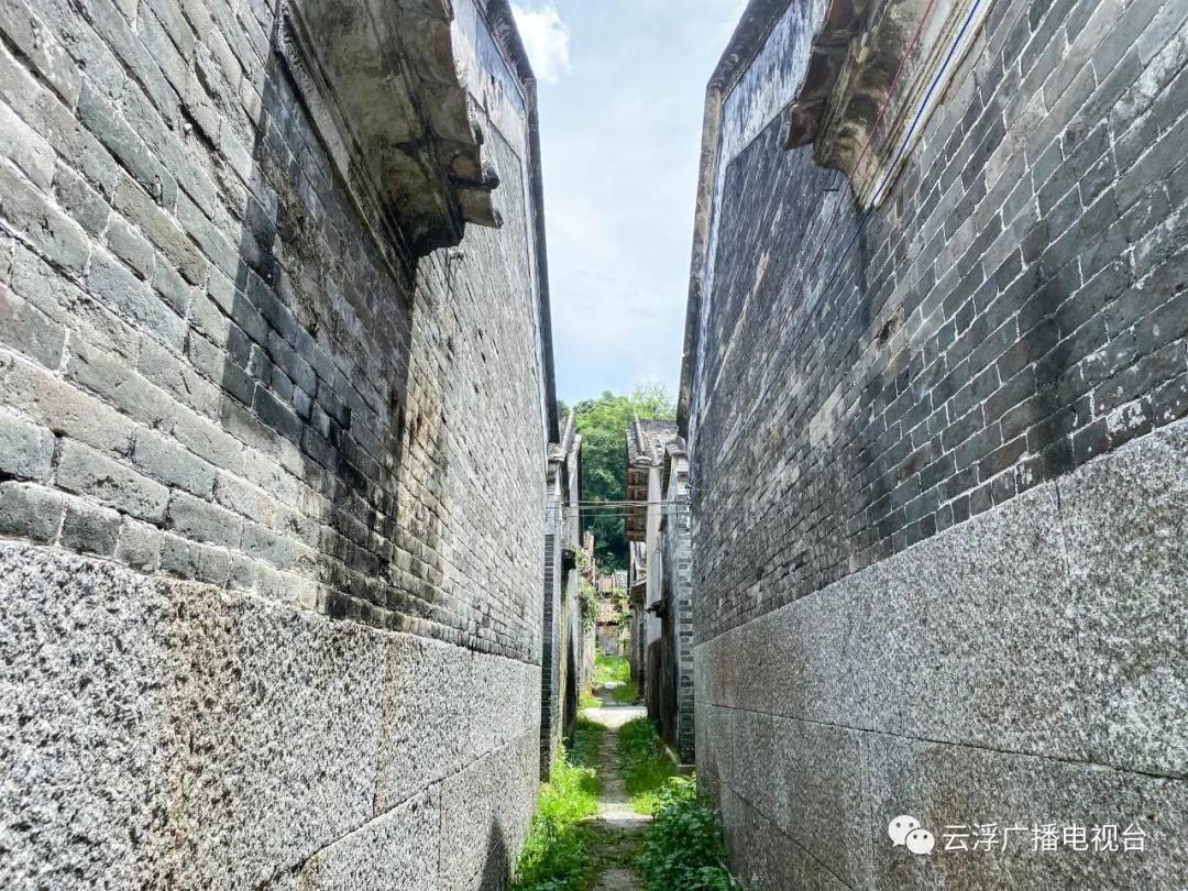 走进冼村，翻阅一本“活”的历史书卷