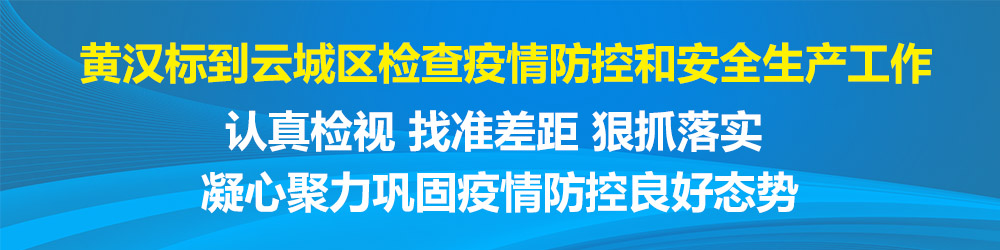 黄汉标到云城区调研
