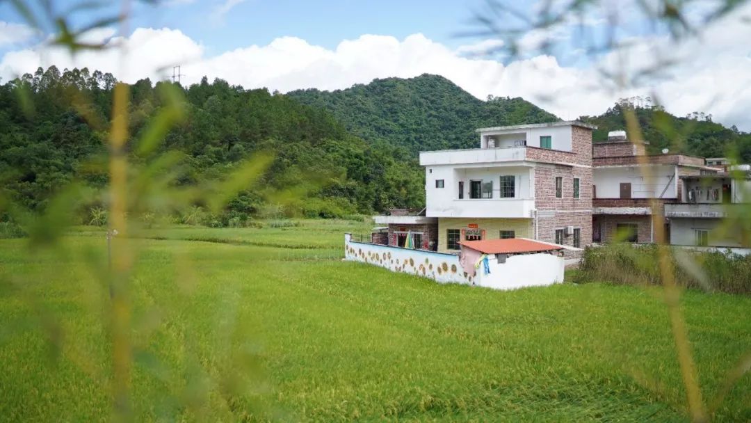 云城区腰古镇腰古村