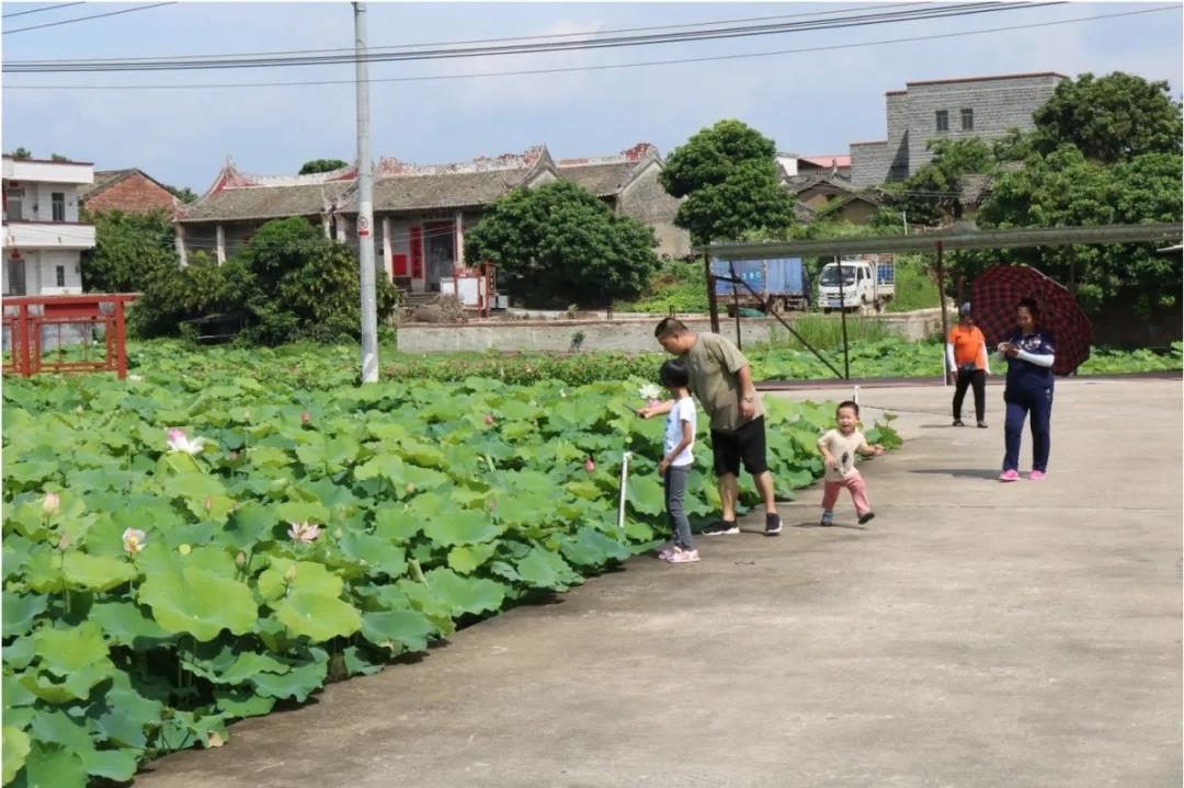 郁南大湾镇