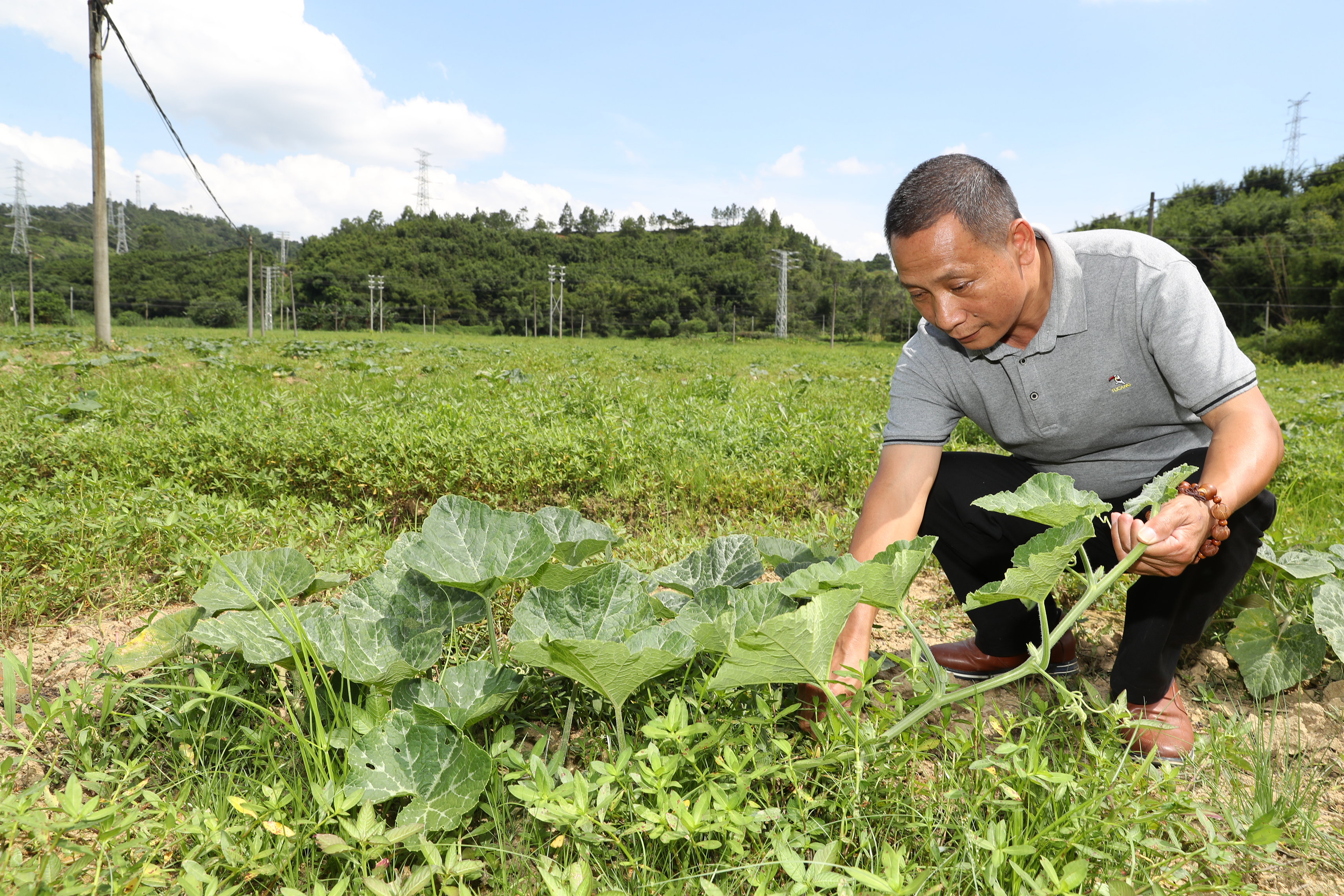 云城腰古镇积极推进荒田复耕