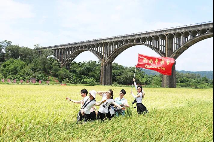 罗定美丽稻田成“打卡地”