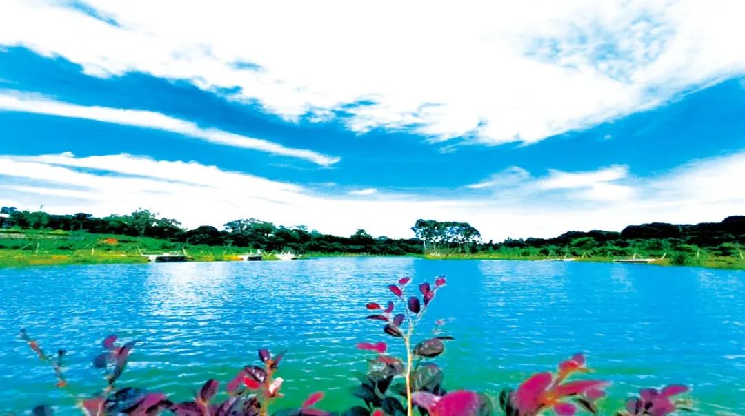 千谷湖旅游风景区