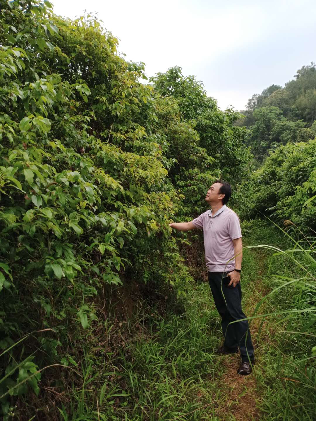 云浮好人胡及可1