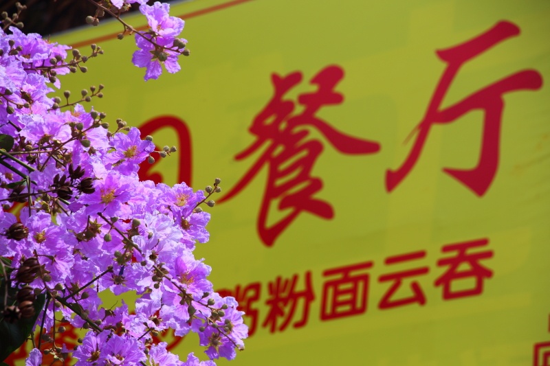 云浮罗定 (6)