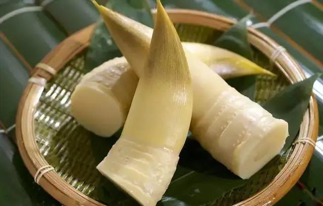 故乡的笋 竹2