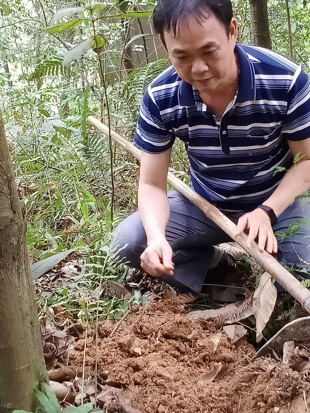 云浮好人胡及可4