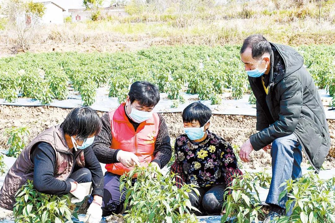 罗定：选派“千干出征”
