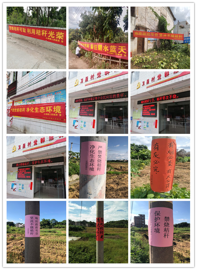 郁南大湾镇禁止秸秆露天焚烧工作 (3)