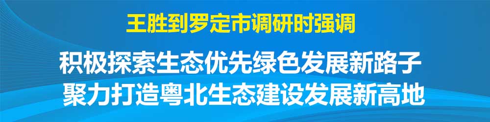 7月10日王胜稿