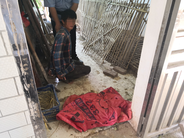 罗定偷鸡案