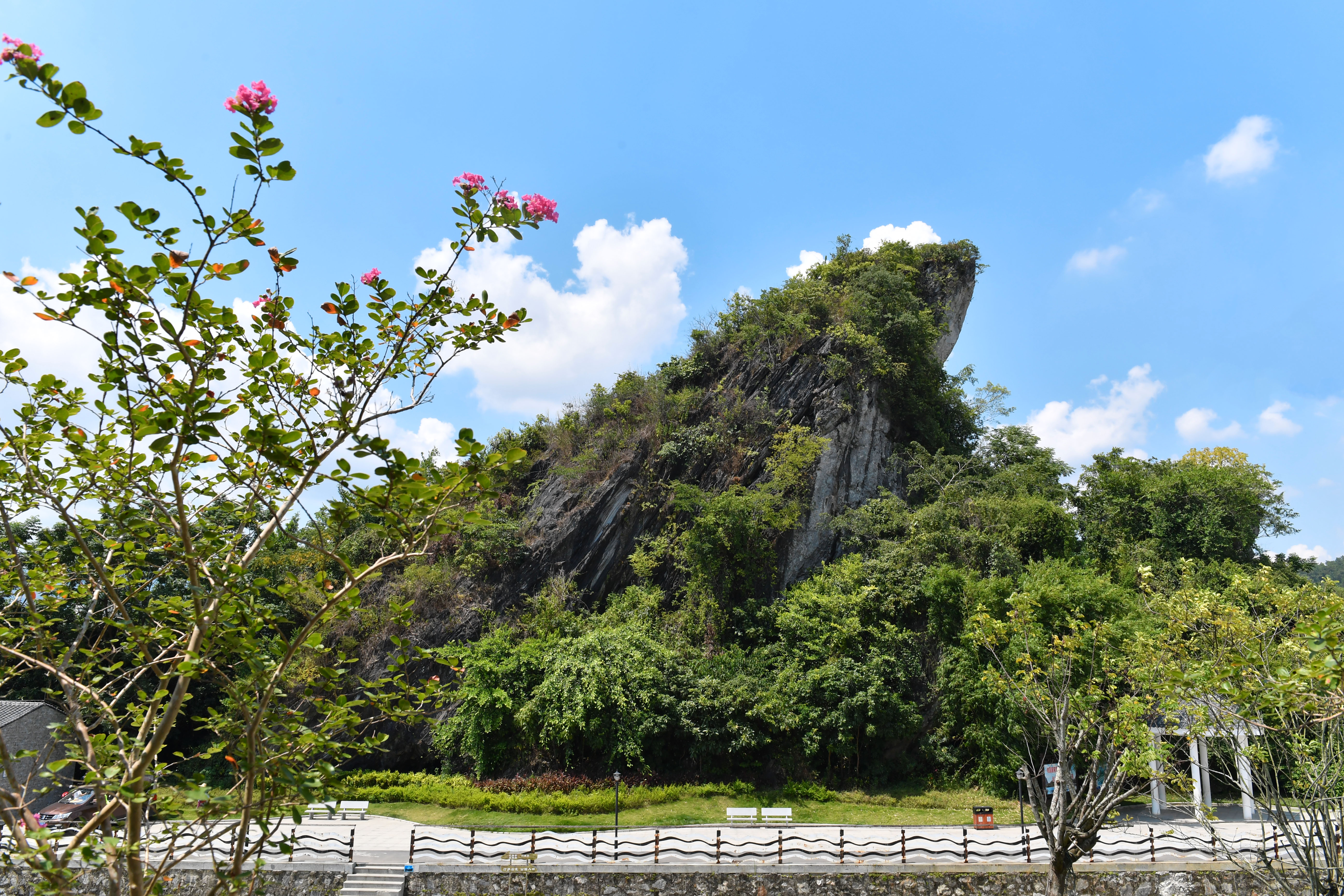 二版大二点赞台栏目）人大代表呼吁保护利用(854288)-20200715090434