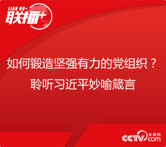 如何锻造坚强有力的党组织 (1)