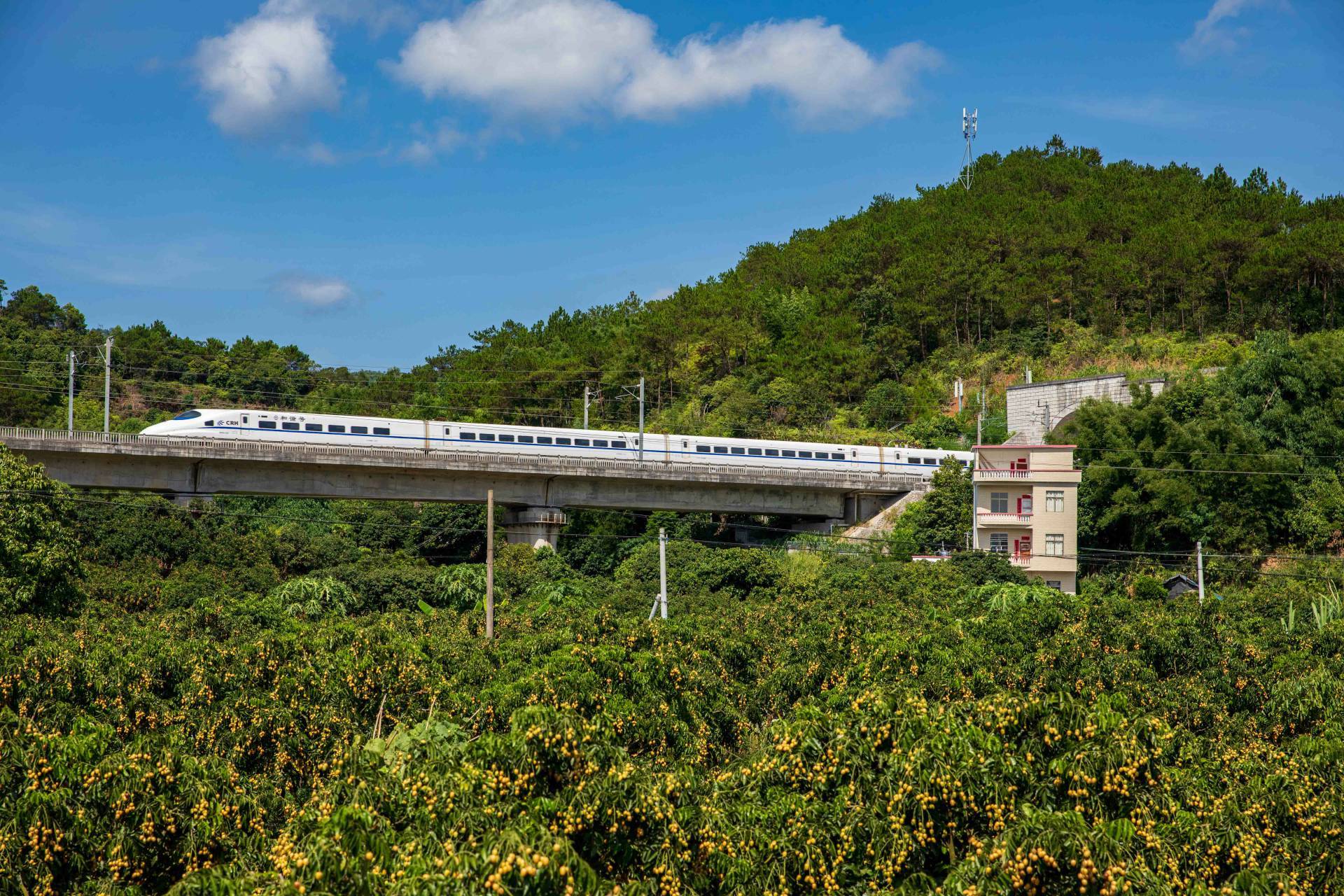 郁南县建城镇干园 