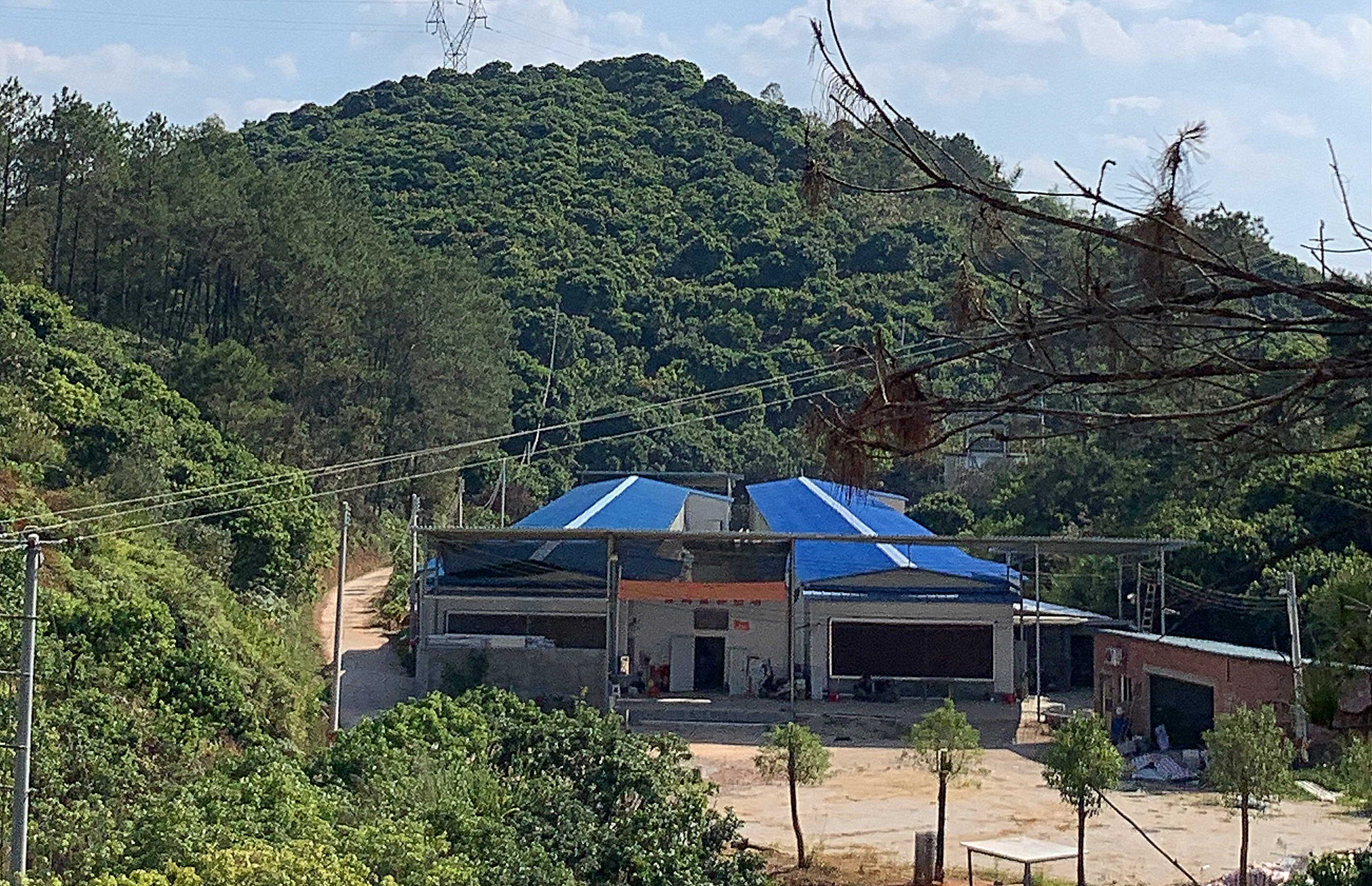 郁南县积极探索扶贫资产管理长效机制河口蛋鸡场