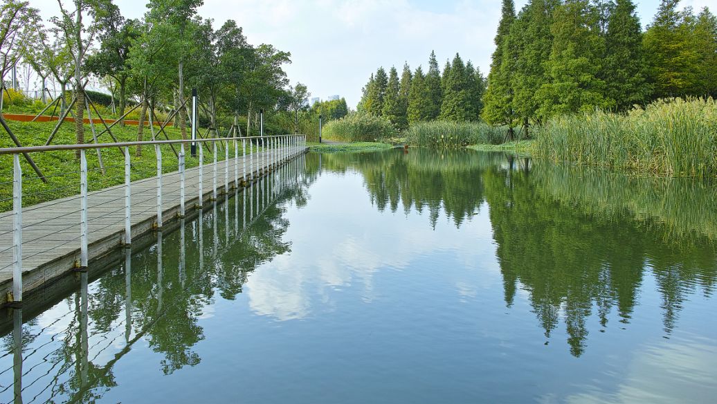 河道整治