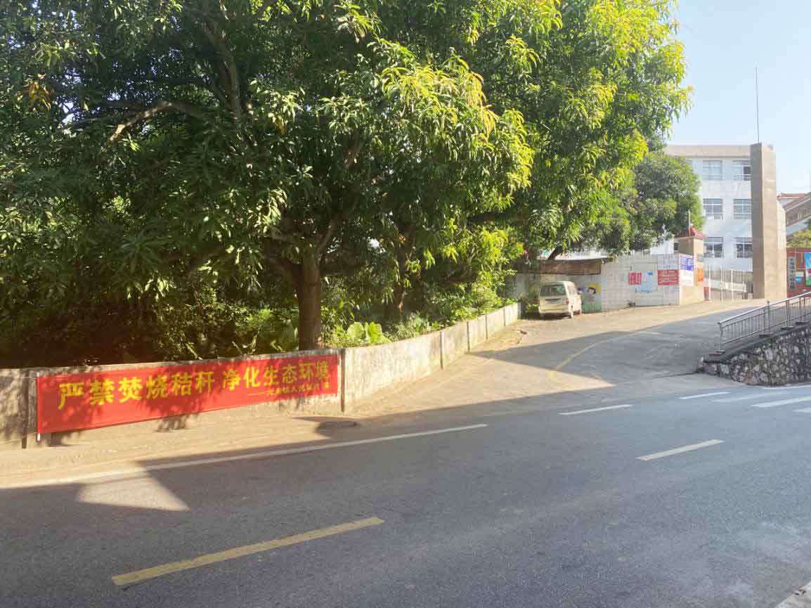 郁南大湾群众综合整治 (2)