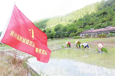 新兴县推动党员志愿服务制度化规范化