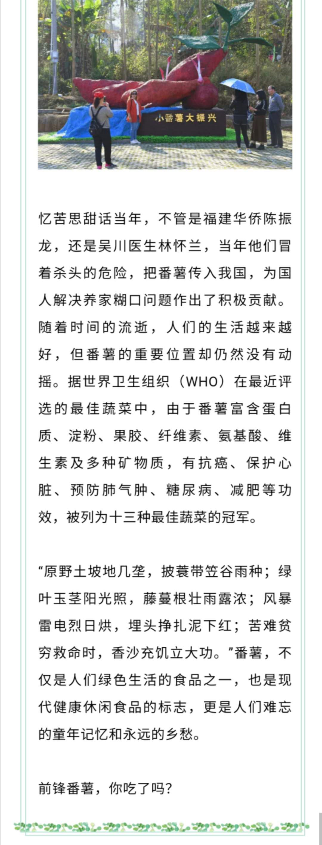 前锋番薯，最难忘的是乡愁4