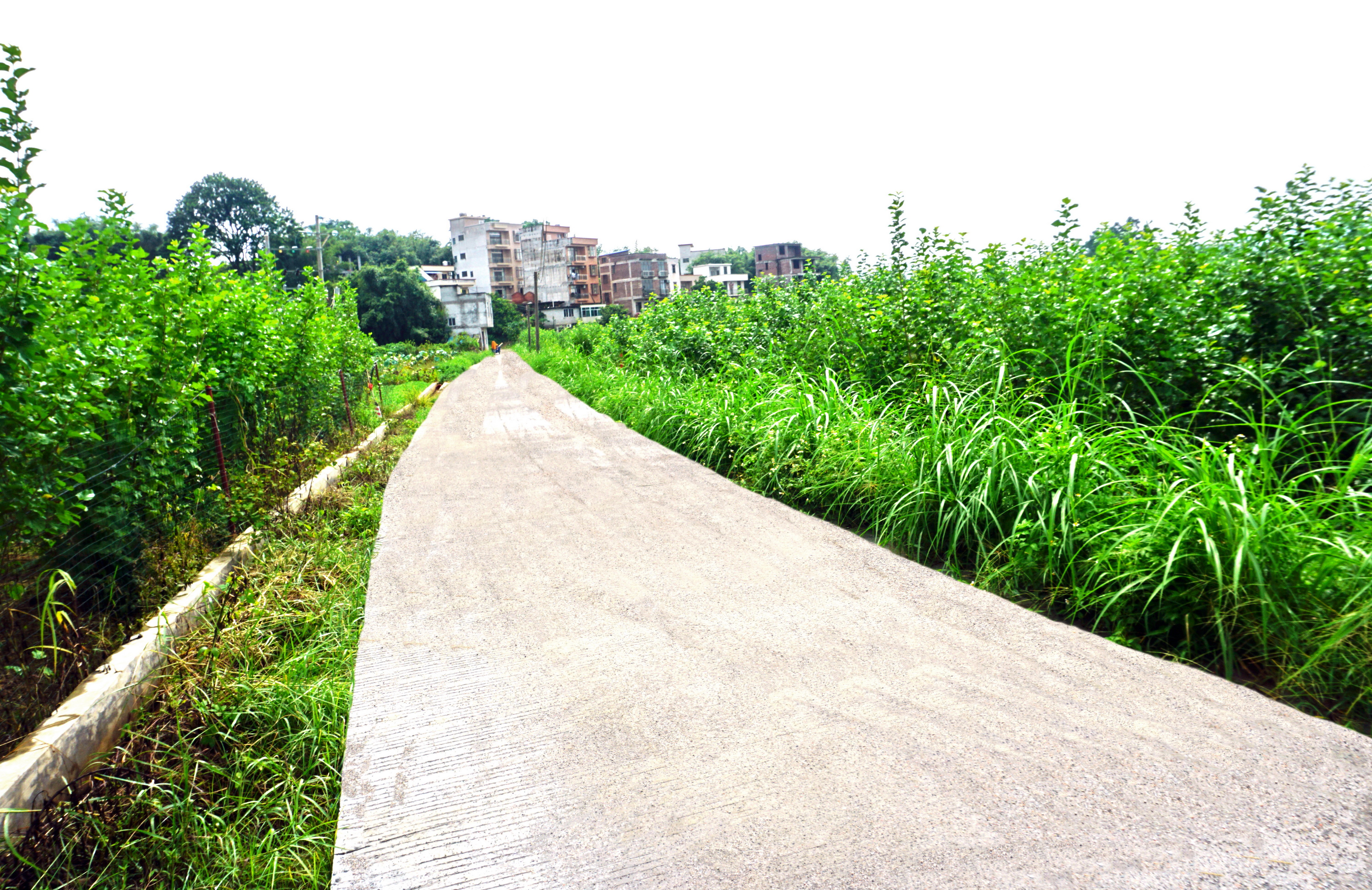 都城农村公路建设