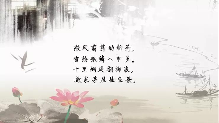 月虽凄清，但仍照亮你我1