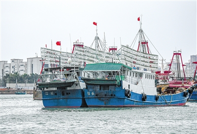 海口市新港码头停靠避风