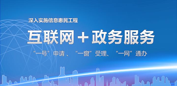 提升“互联网+政务服务”水平