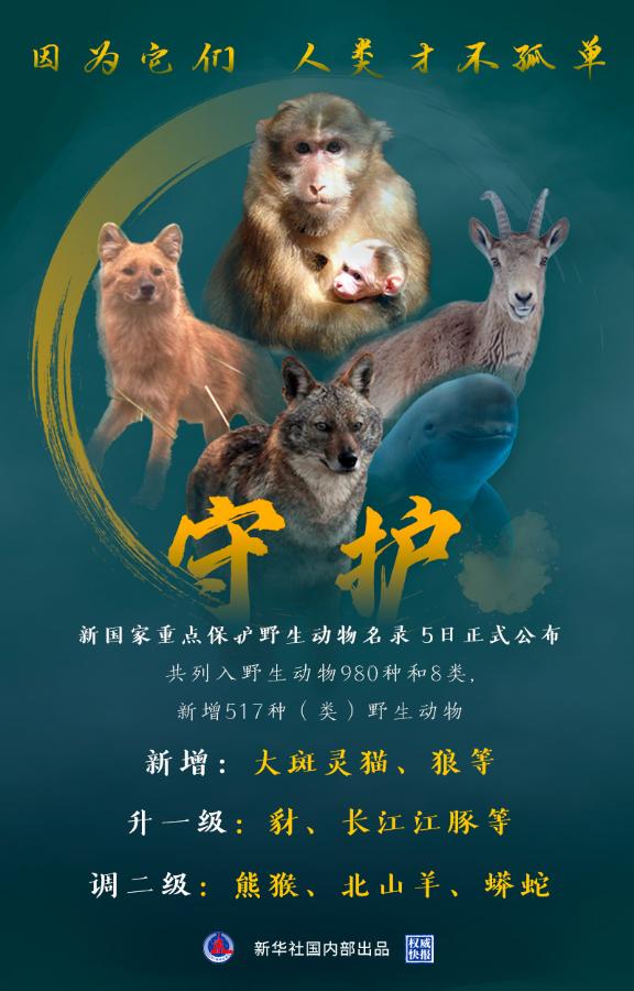 豺、长江江豚由国家二级保护野生动物提升至一级
