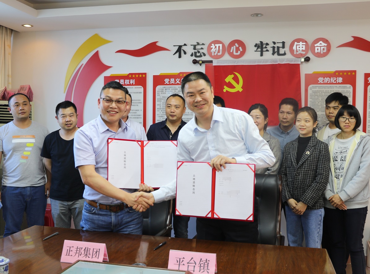 正邦集团来郁南签约养猪1