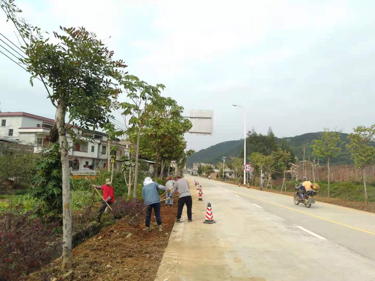 美化道路环境