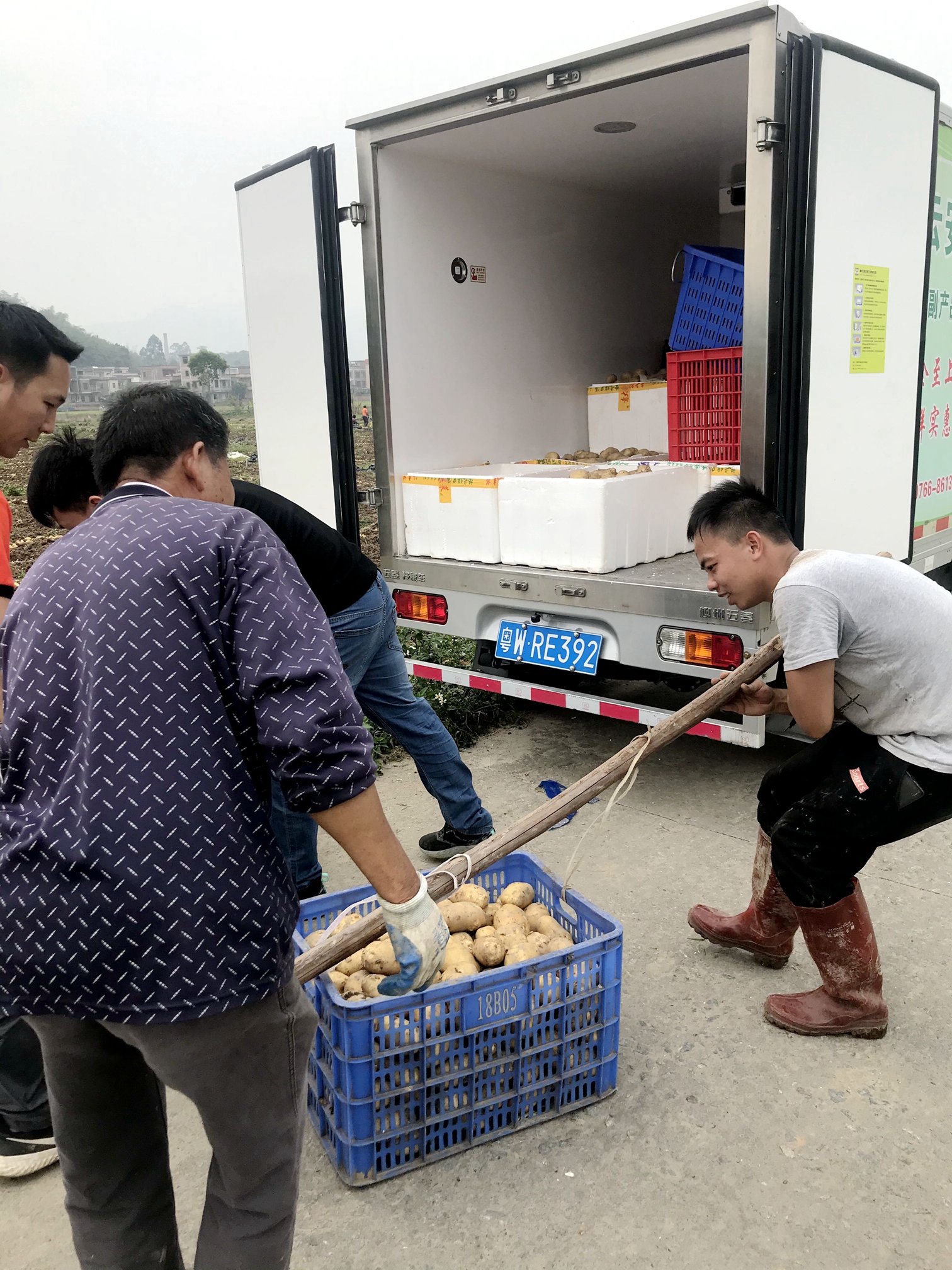 云浮云安相关部门学史力行为群众拓宽土豆销路