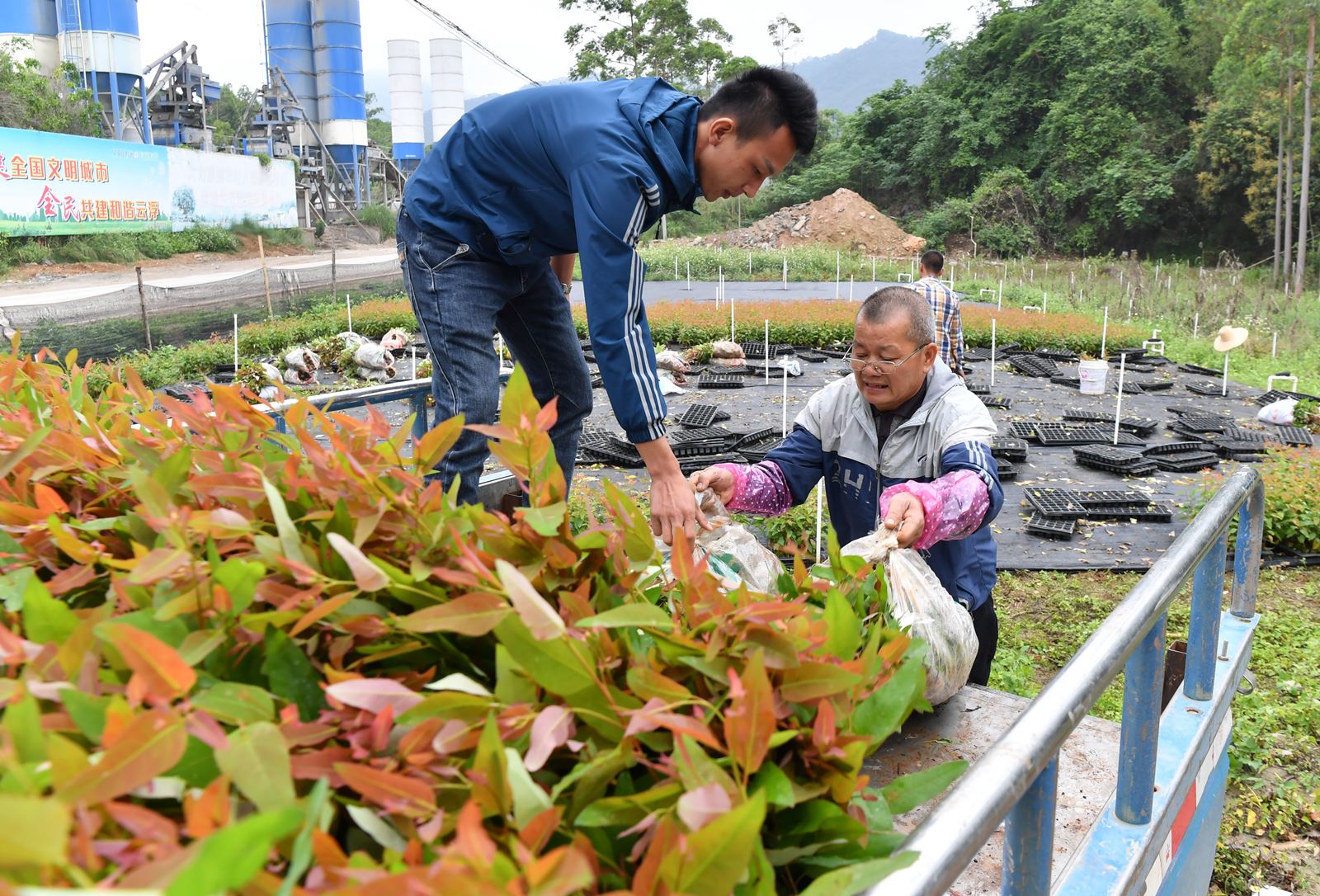 苗木旺销不负春