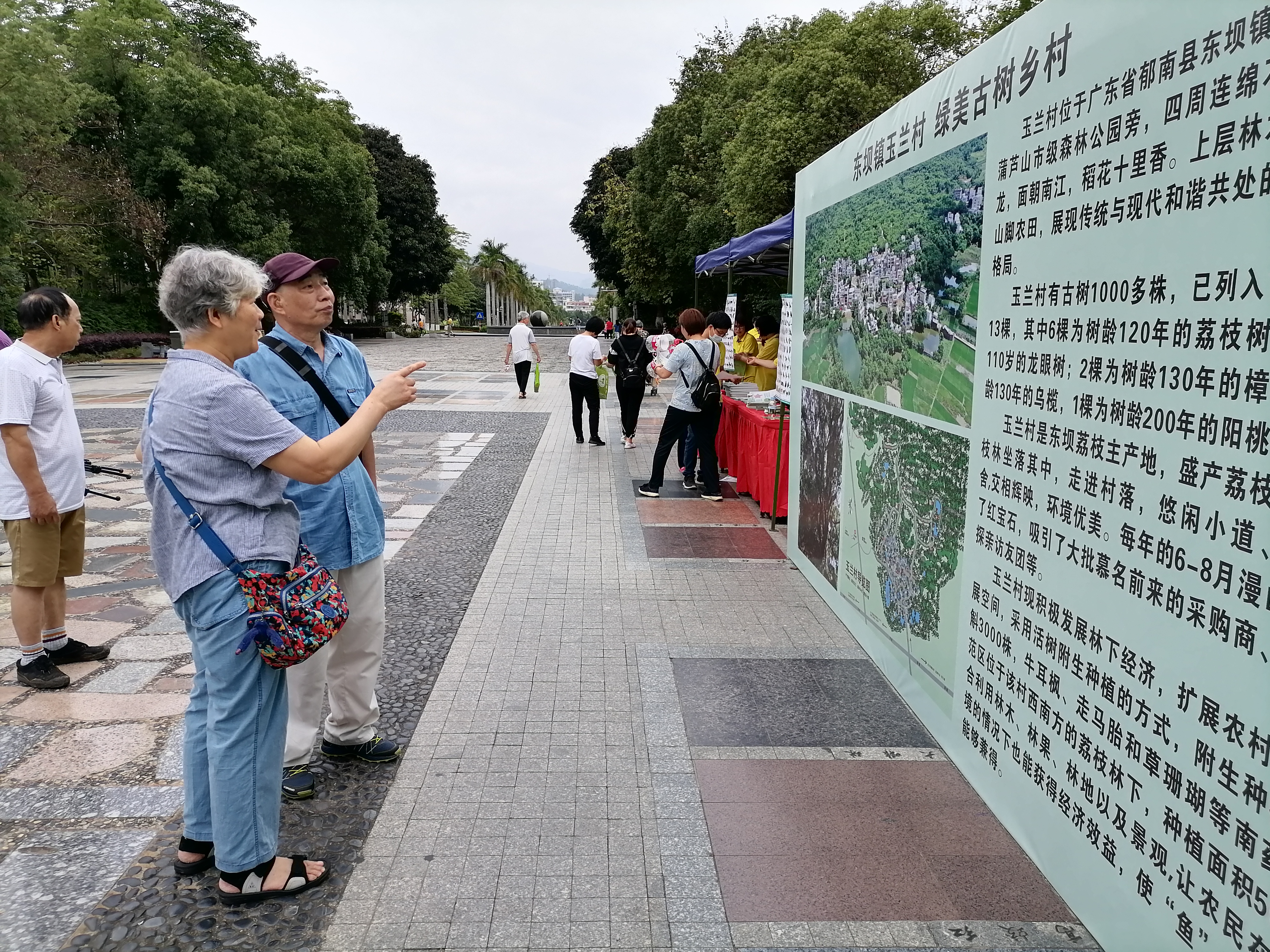 我市举办“森林城市·绿美广东”广东省森林城市建设主题宣传（云浮分会场）活动