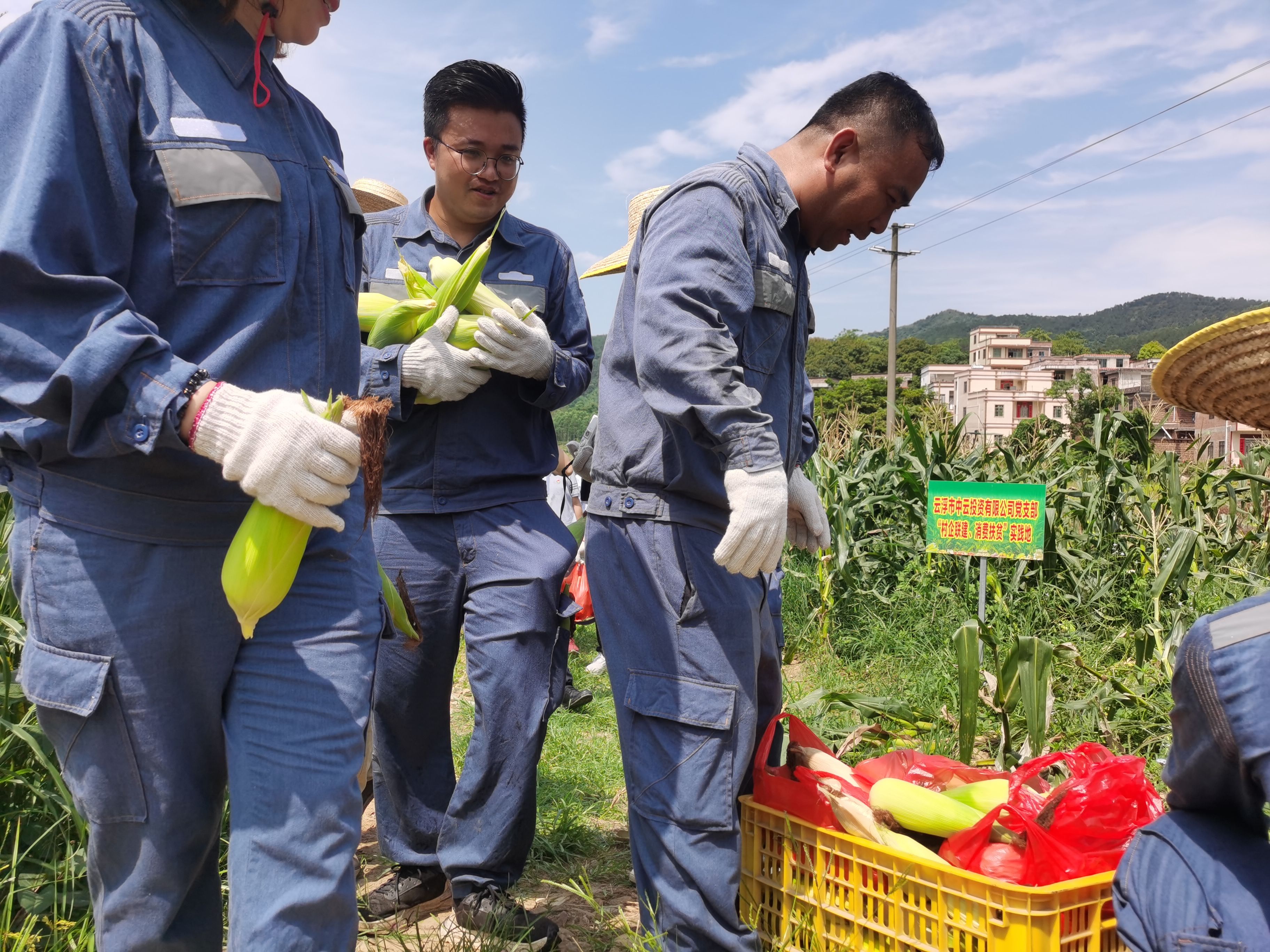 云浮市国资委发起爱心消费助农活动