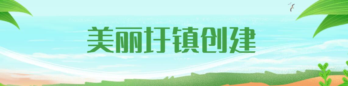 美丽圩镇创建横幅banner