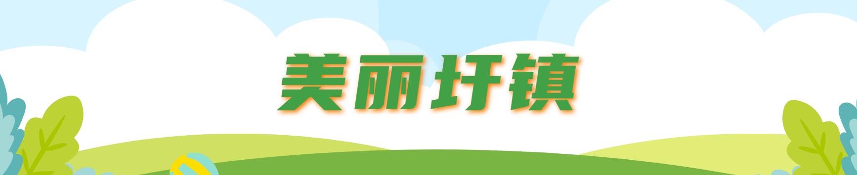 美丽圩镇横幅banner