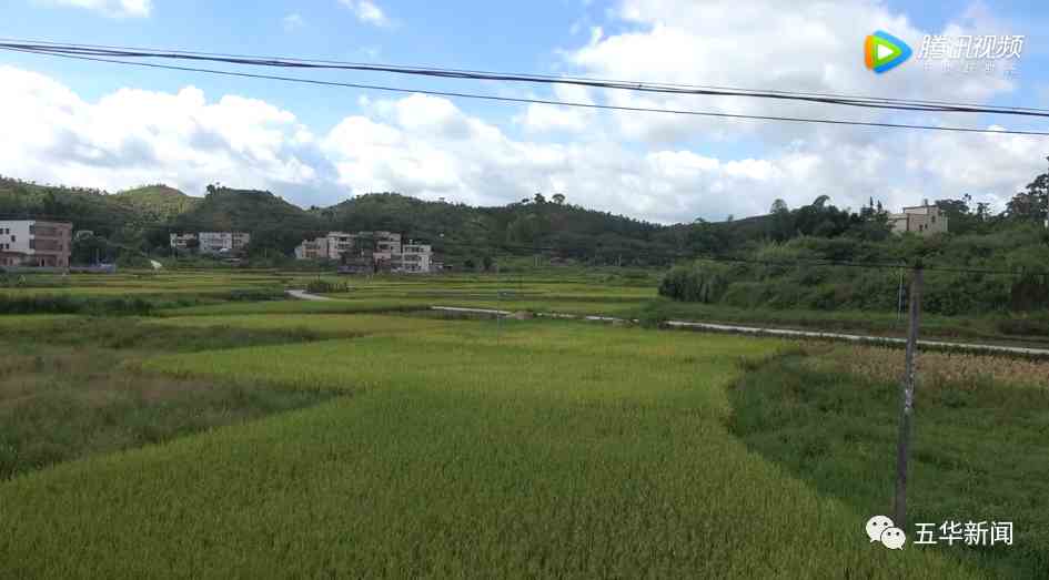 新农村建设巡礼梅林镇尖山村琴口村向着美丽宜居村庄迈进