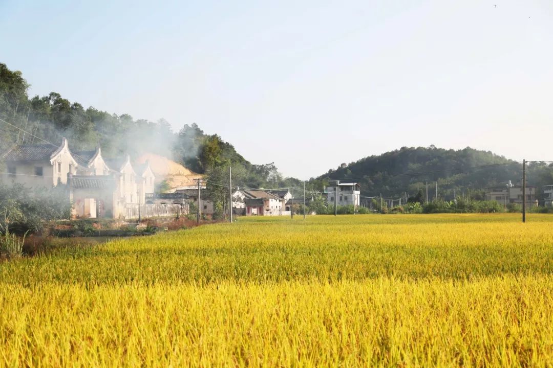 梅州这座藏在深山的文化古村,串起了数百年的漫长时光