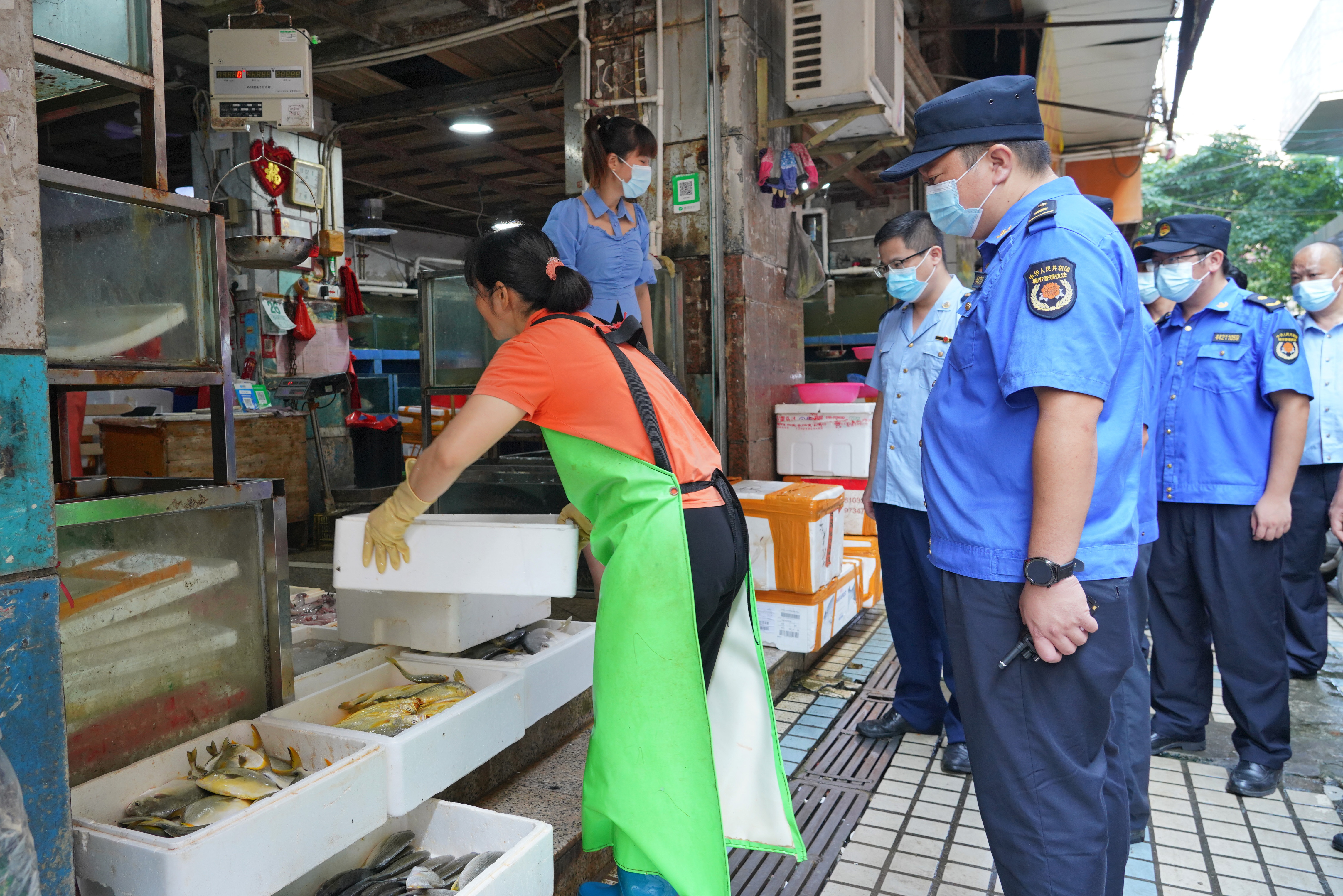 城区多部门开展专项整治 进一步巩固国家卫生城市创建成果