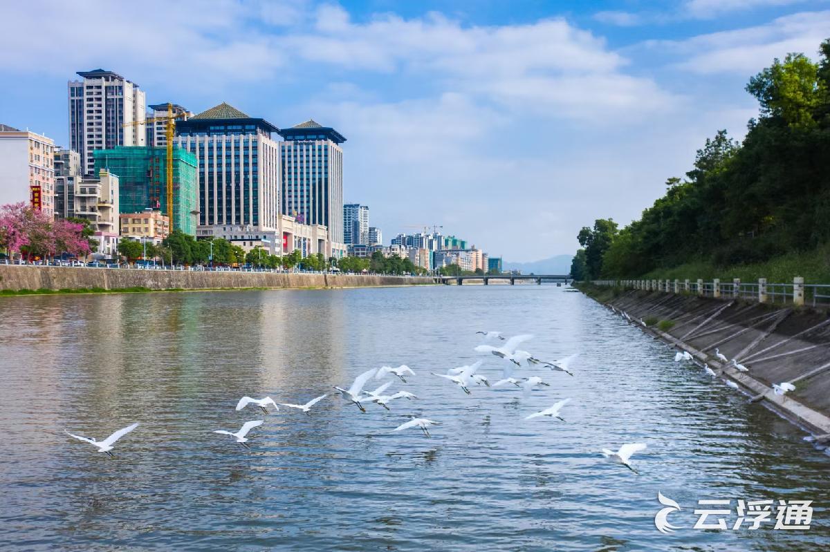 新兴新城：“鲶鲶”有余 “钱”景可观